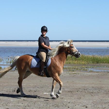 Naar Zee Op Ameland Buren  Ngoại thất bức ảnh